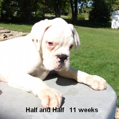 half031